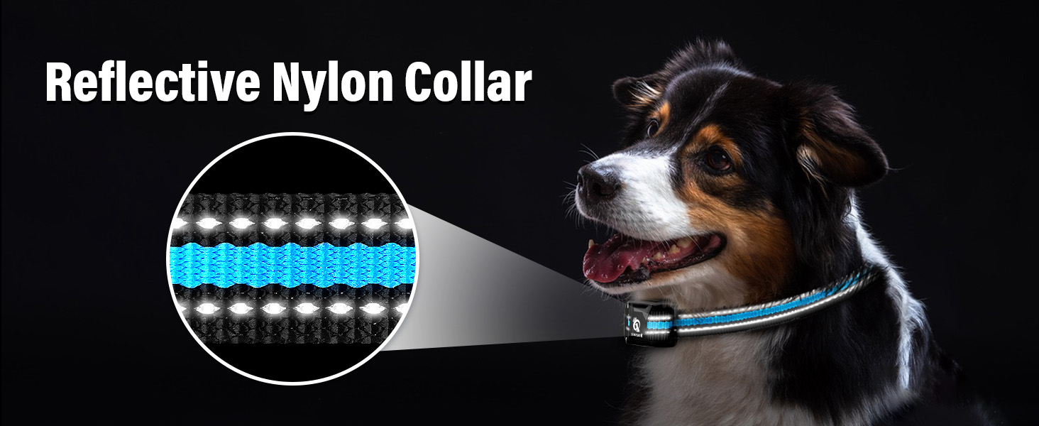 shock collar for dogs 40-60 lbs waterproof