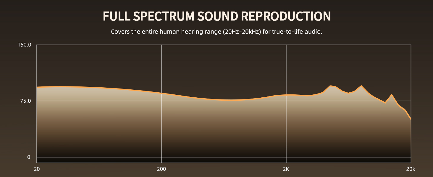 in ear monitor