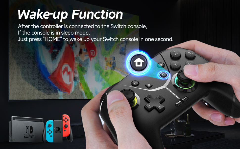 Nintendo Switch Controller