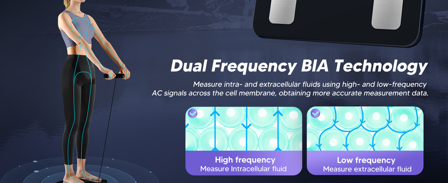 Dual Frequency BIA Measurement body composition scale