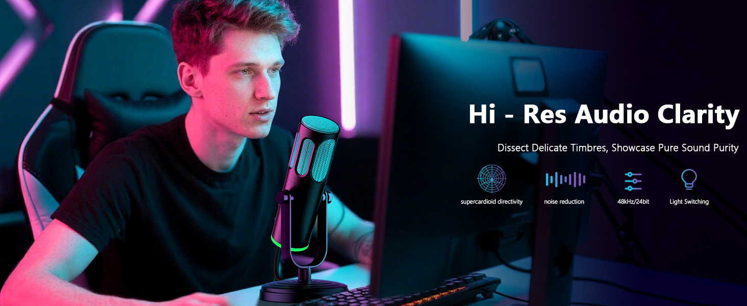 professional microphone