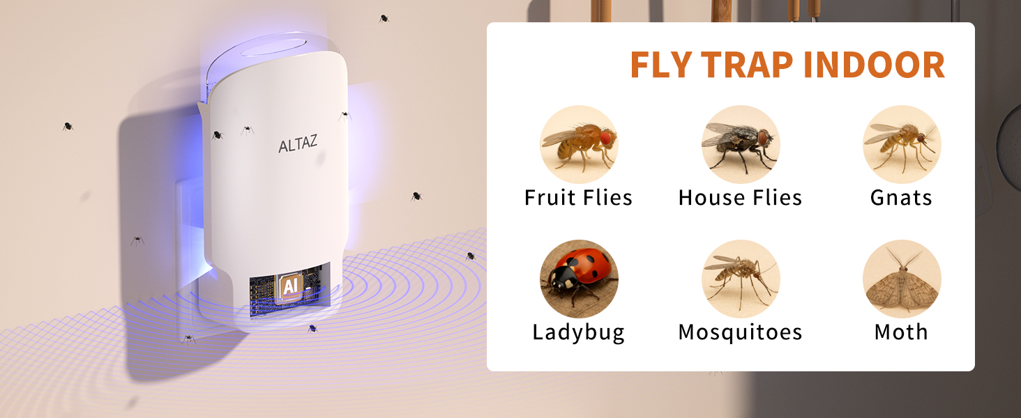 fly traps indoor for home
