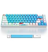 iRoboosta 65 Percent Gaming Keyboard, 68 Key Mechanical Keyboard, RGB Backlit Keyboard, Red Switc...