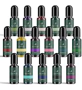 Hearth &amp; Harbor Liquid Candle Dye for Soy Candle Making, 16 Vibrant Candle Color Dye for Soy Wax,...