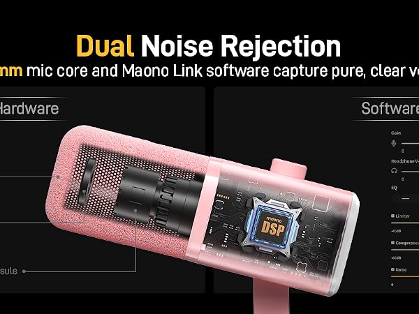 Dynamic Microphone