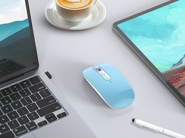 Wireless, Bluetooth, Rechargeable Mouse for Mac or iPad Surface,Noiseless Mouse with USB Receiver