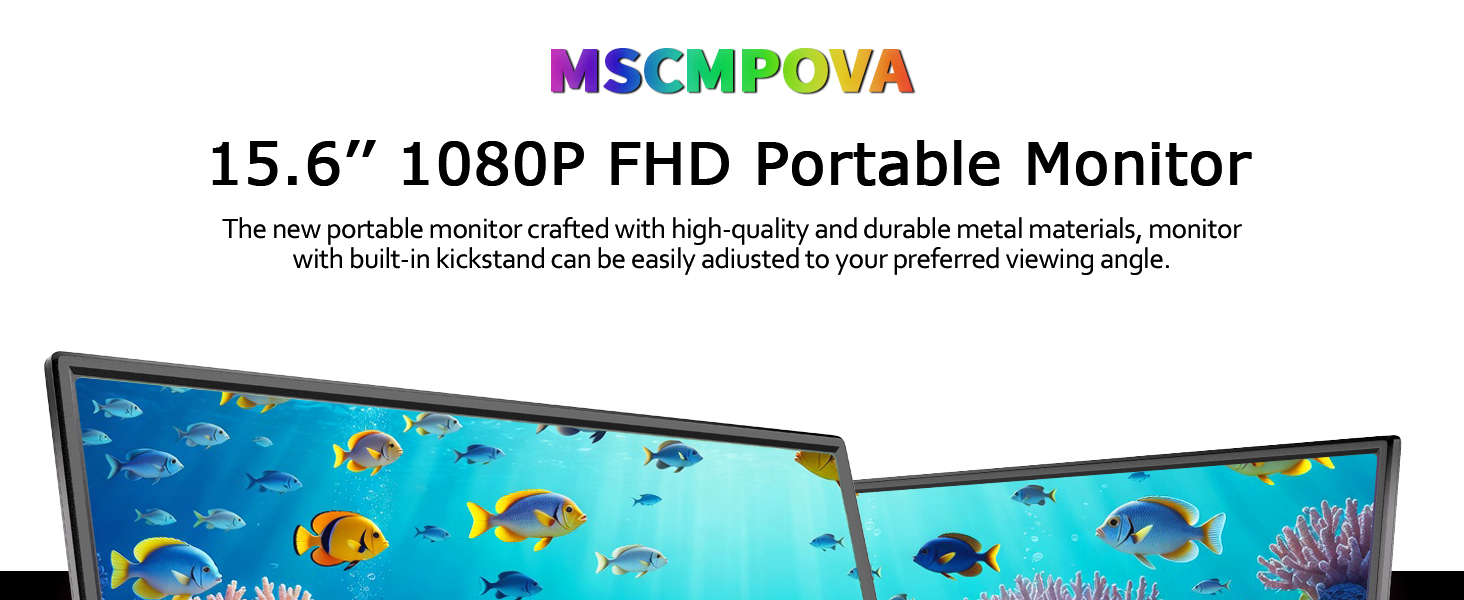 Portable screen Monitor