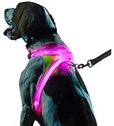 Noxgear LightHound – Revolutionary Illuminated and Reflective Harness for Dogs Including Multicol...