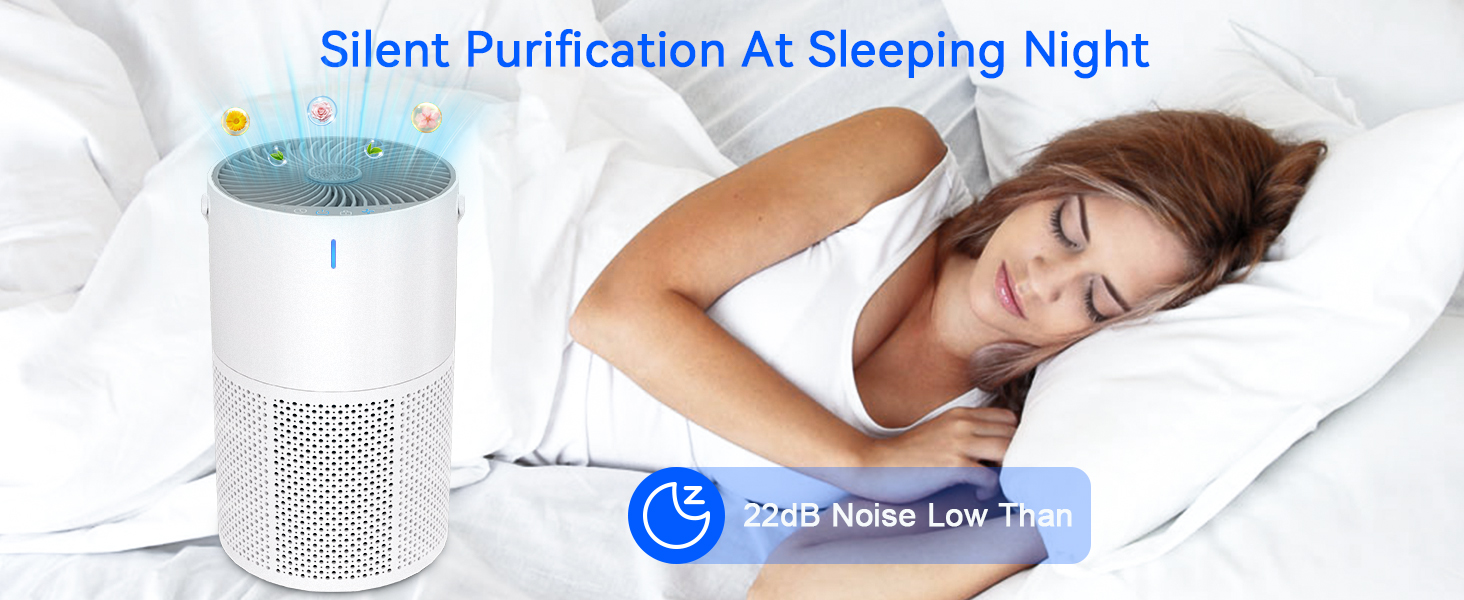 large room air cleaner