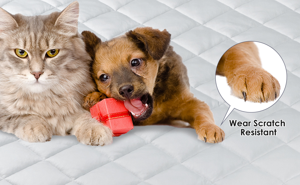 Dog Cooling Mat