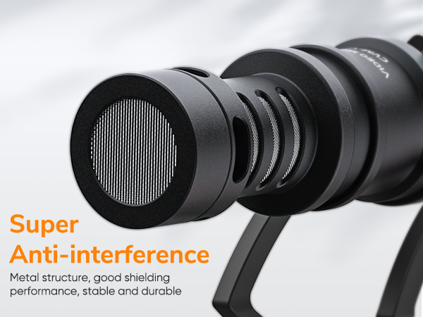 camera microphone