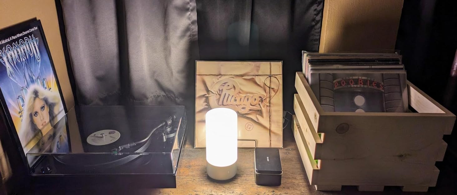 Famigreta Table Lamp Rechargeable Cordless Desk Lamp for Bedroom Restaurant Party Outdoor