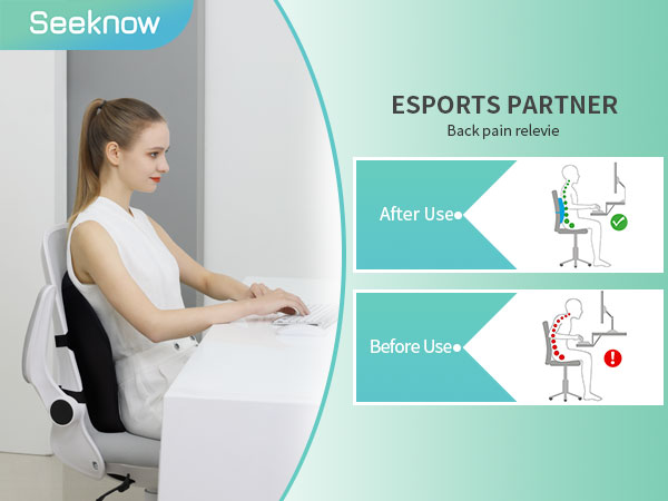 lumbar Support Pillow for Office Chair