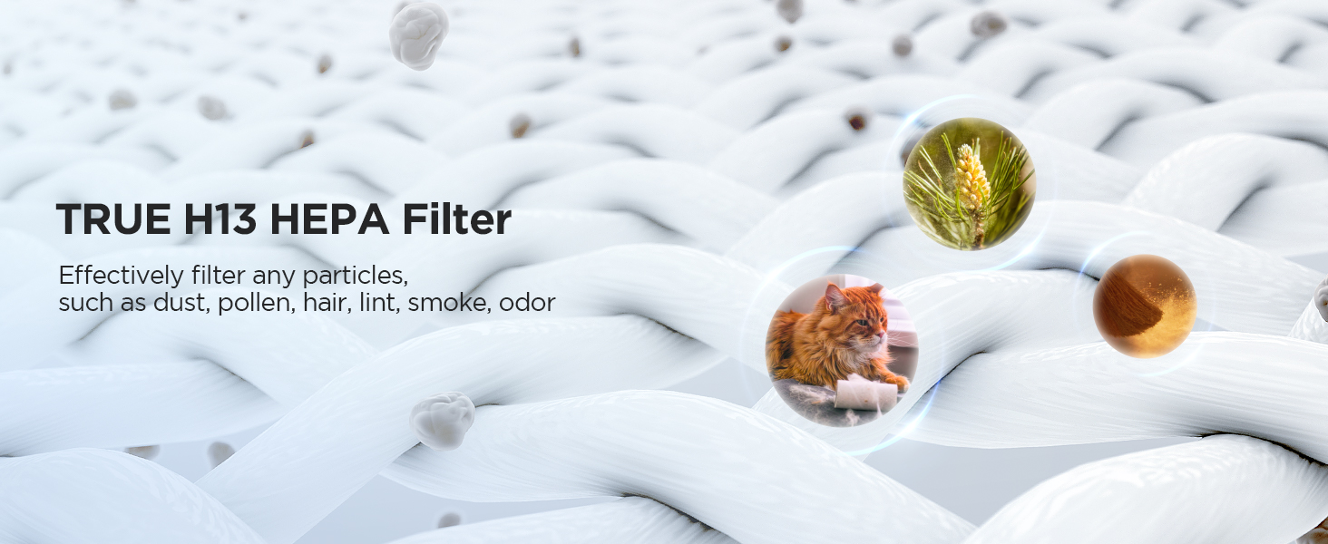 hepa air purifiers for home