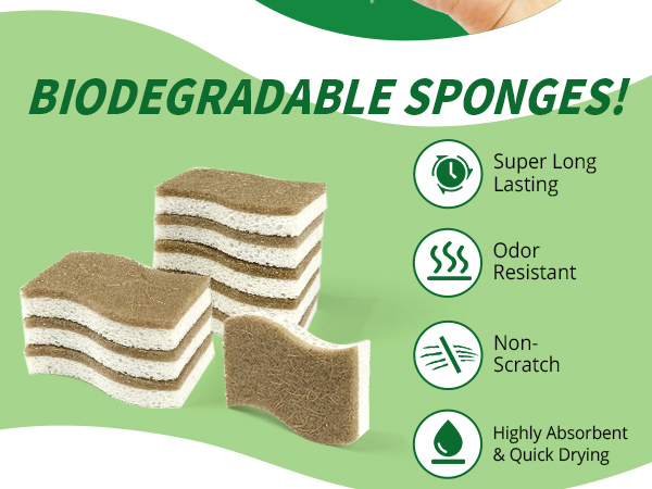 dish sponges