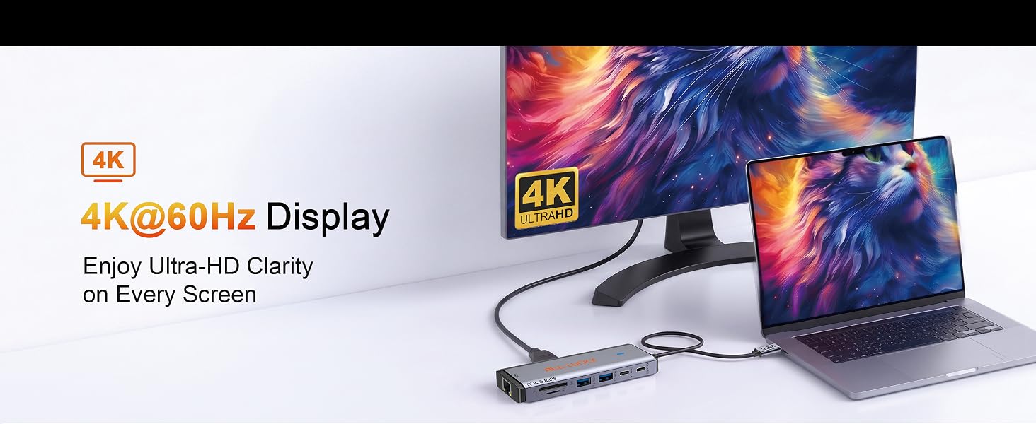 usb-c docking station dual monitor