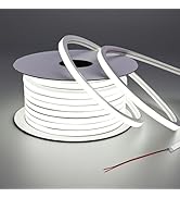 BENLUN 24V LED Neon Strip Lights 49.2FT, 6000K Cool White Led Rope Light Outdoor IP67 Waterproof ...