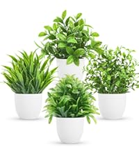 https://m.media-amazon.com/images/S/aplus-media-library-service-media/b0ff0b40-6555-4788-a893-8c620aa9a00f.__CR0,56,300,338_PT0_SX200_V1___.jpg