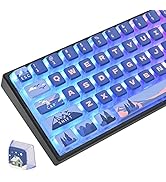 iRoboosta Pudding Keycaps PBT Translucent Keycap, 118 Key ASA Profile Keycaps 60 Percent Custom K...
