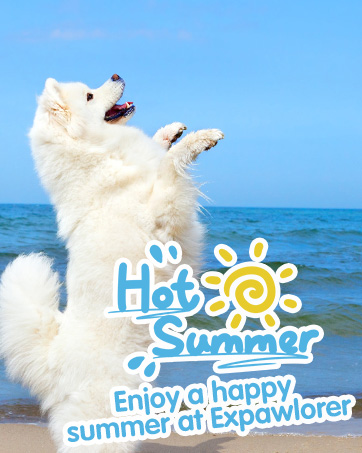 summer