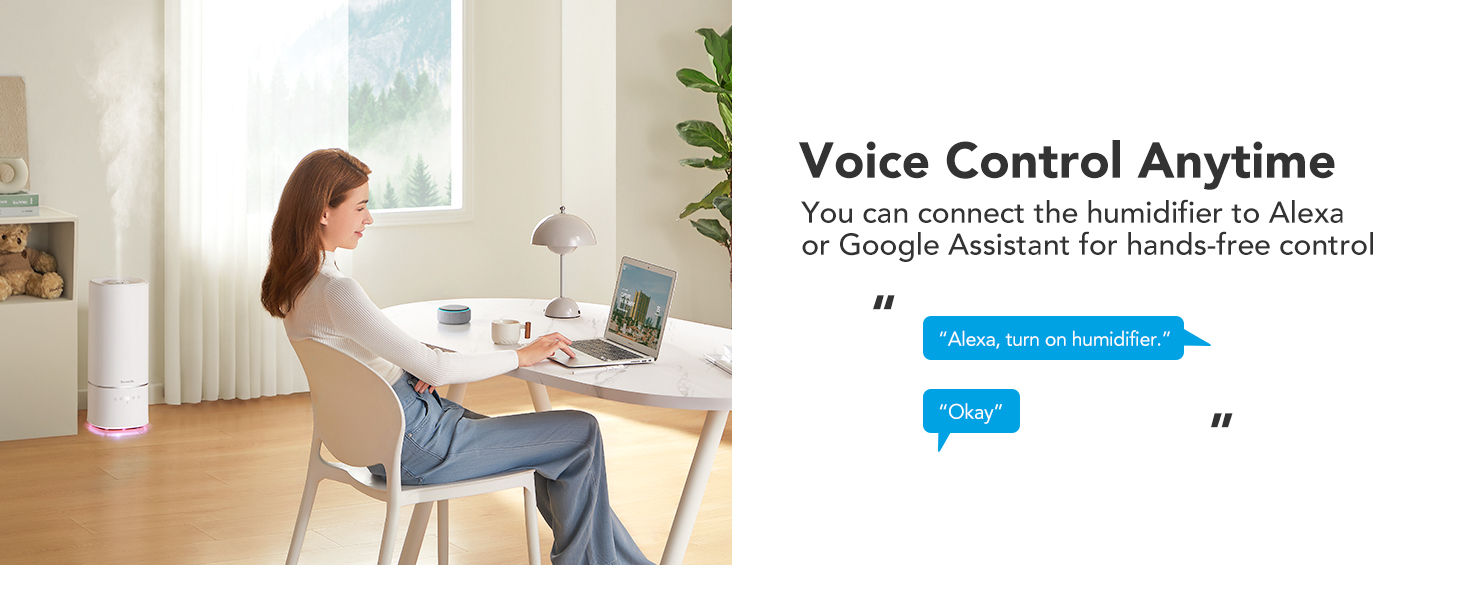 Voice Control