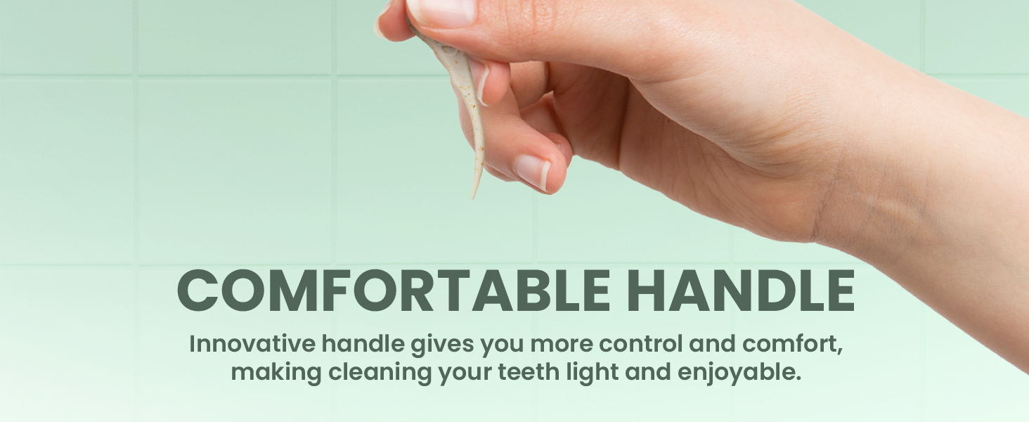 Dental Floss Picks