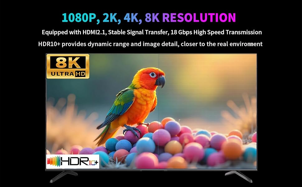 Text reads '1080P, 2K, 4K, 8K RESOLUTION'. Vibrant widescreen display showing colorful parrot against HDR-enhanced background with resolution specifications.