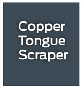 adults plastic flossing brush bristles flosser de dientes palillos toothpick