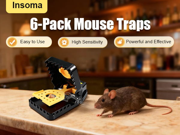 mouse trap-R11