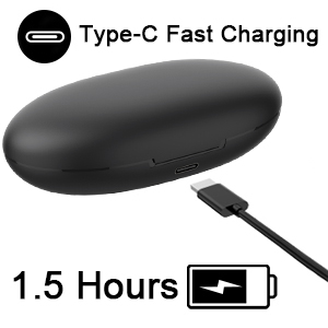 Type-C Fast Charging