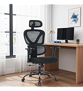 MALOL Ergonomic Office Chair with Adjustable Headrest &amp; 3D Armrests, High Back Mesh Desk Chair wi...