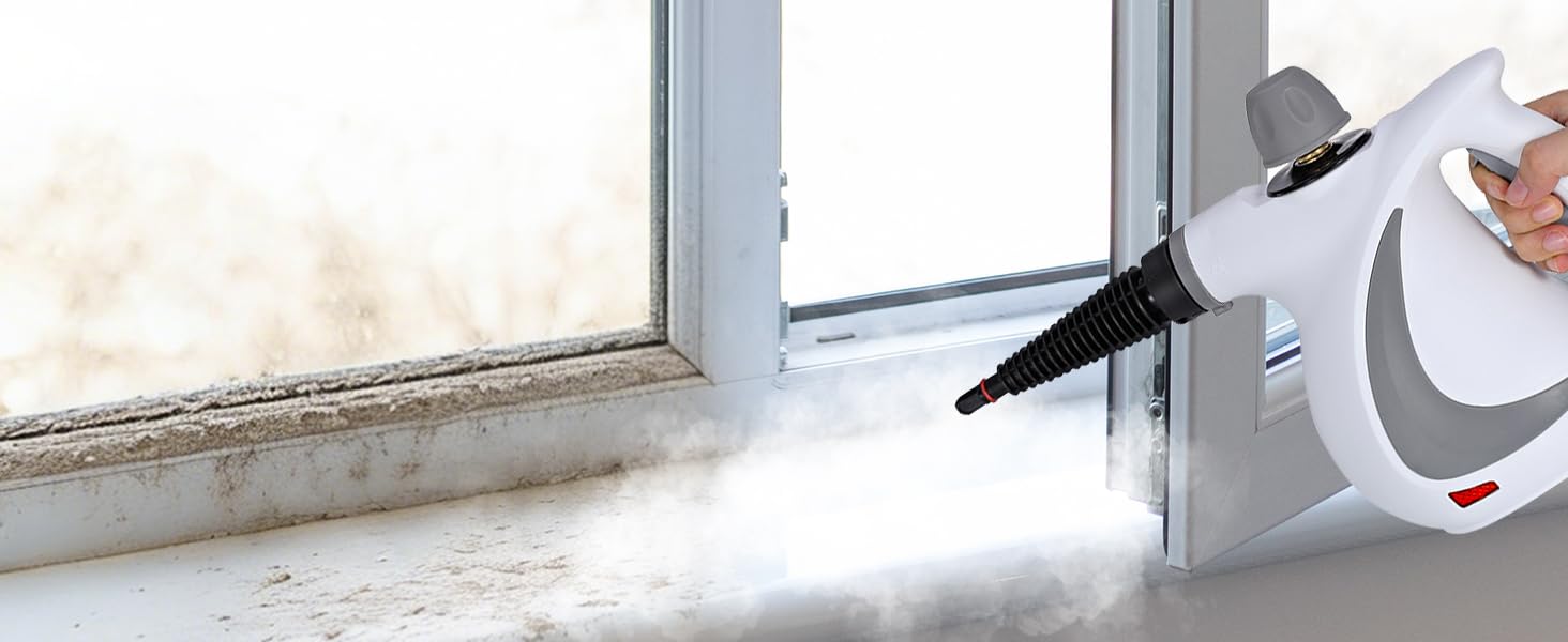 Pressurized Steam Cleaner