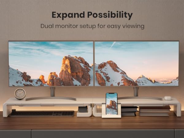 dual computer monitor riser