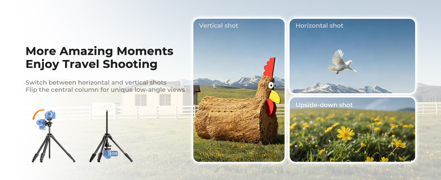 K&amp;amp;F CONCEPT 73&amp;#34; Aluminum Compact Camera Tripod