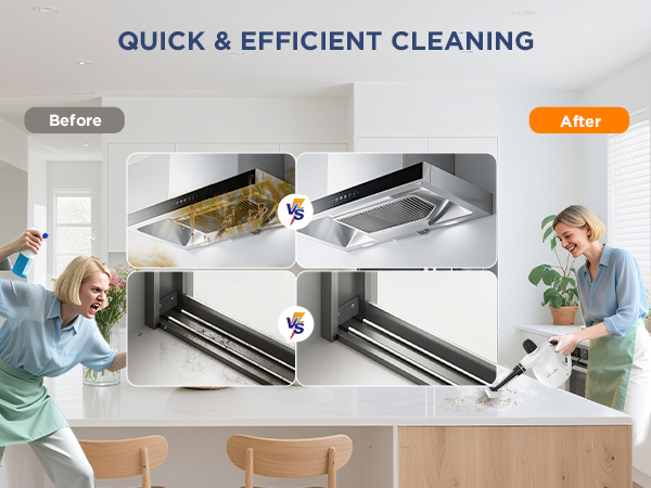 steam cleaner labigo