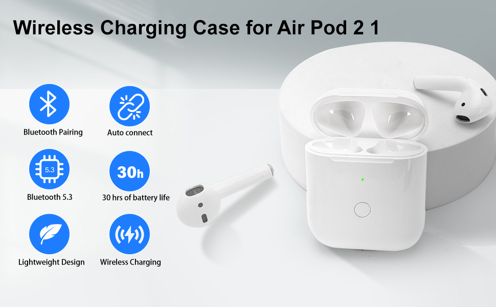 charging case