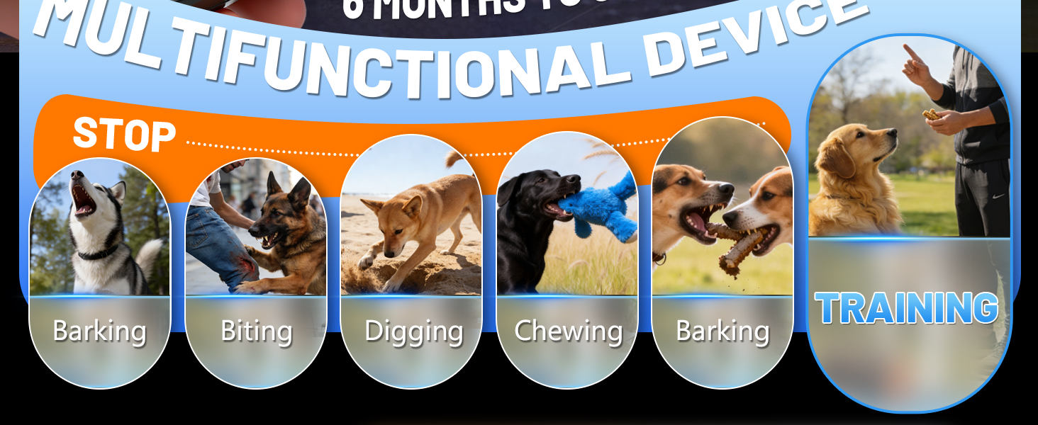 dog repellent device