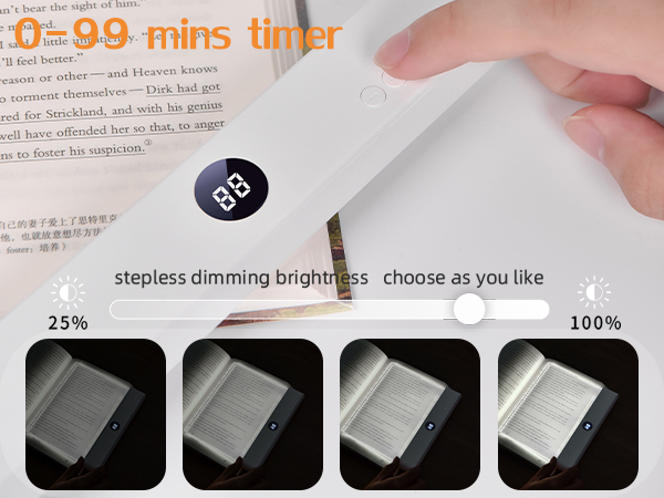 Book Full Page Light