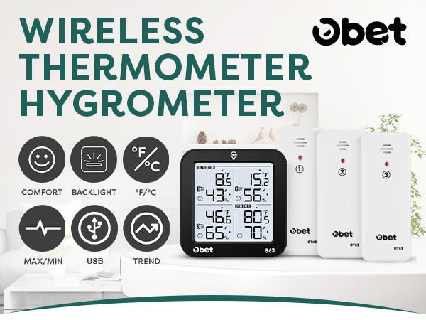 Outdoor Thermometers