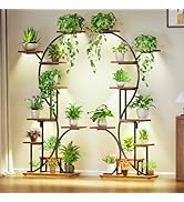 Plant Stand Indoor with Grow Lights - 9-Tier Corner Plant Shelf, 66