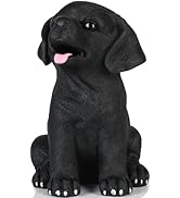 H&amp;W Black Labrador Dog Coin Money Bank, Shatterproof Dog Piggy Bank, Creative Money Bank, Can Sto...
