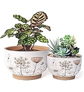 YBX 8 Inch + 6 Inch Ceramic Plant Pots, Succulent Flower Pots with Drainage Holes, Terracotta Pla...