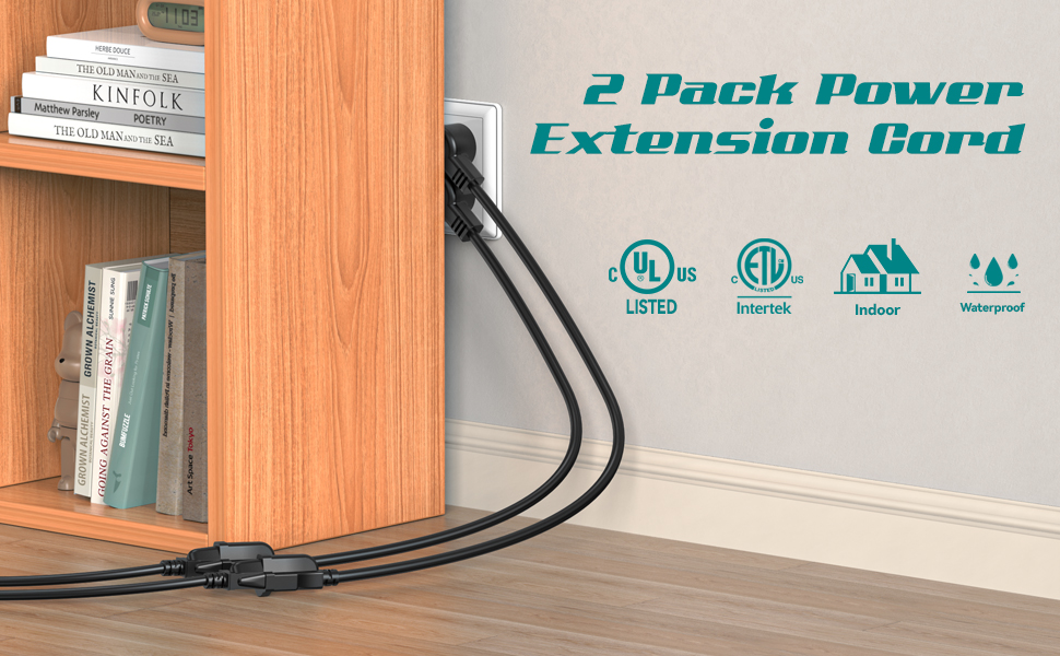 Power extension cord