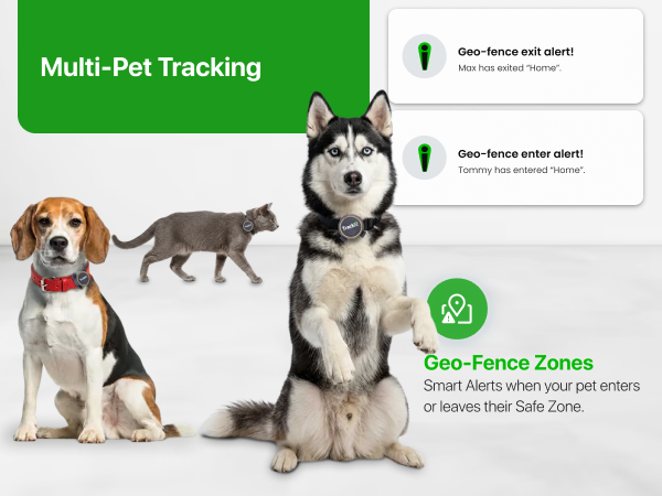 Multi-pet tracking