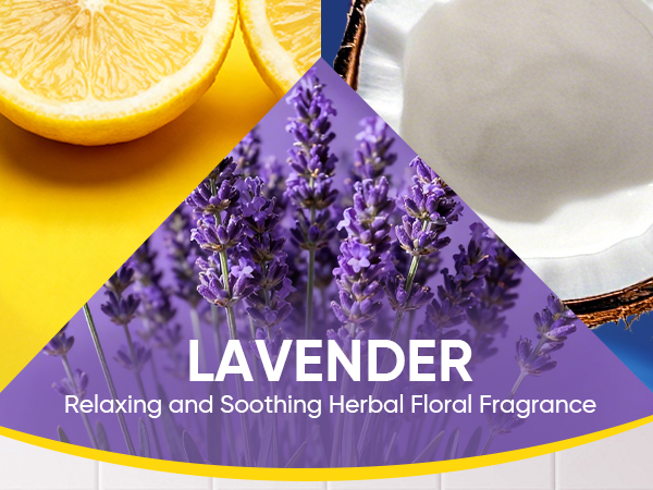 LEMON, BLUE OCEAN, LAVENDER