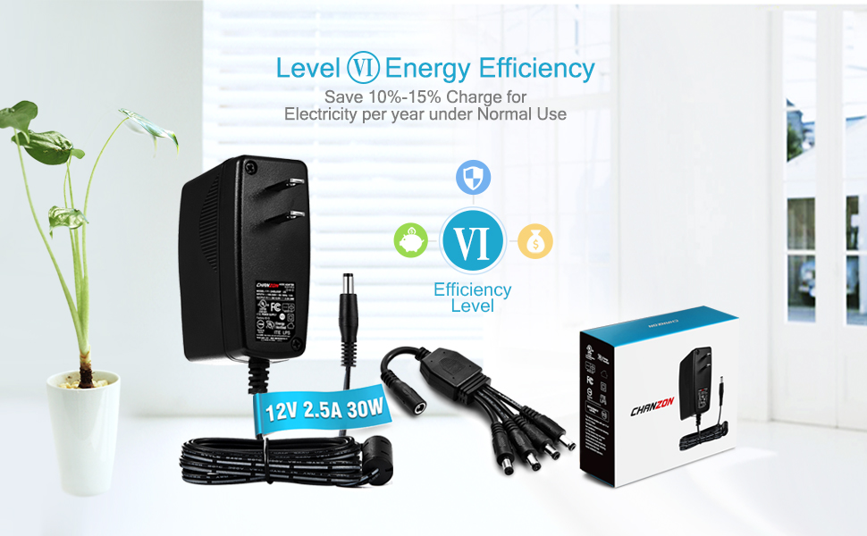 12V 2.5A