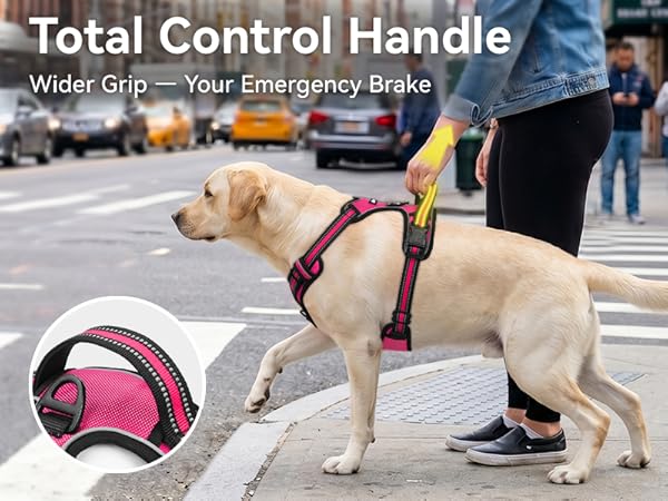 dog harness