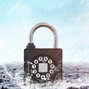 padlockfingerprint padlock