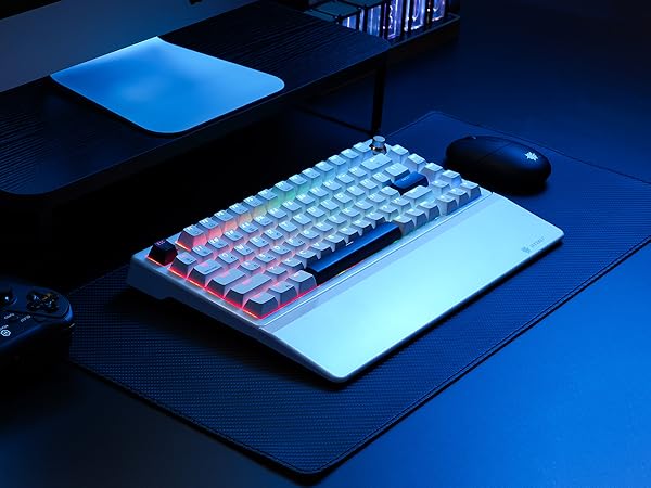 Hexgears E2sPro Mechanical Gaming Keyboard with Wrist Rest