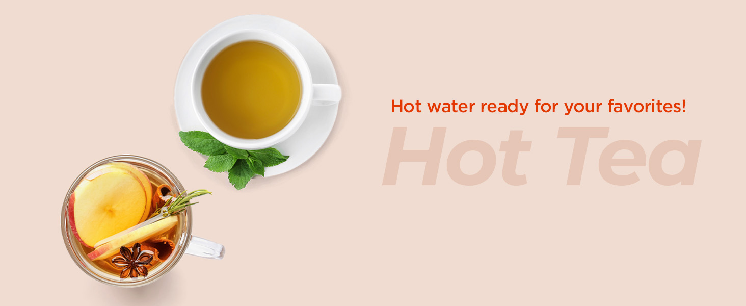 Electric tea kettle electric kettles for boiling water hot water kettle electric water heater